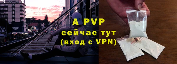 винт Елабуга