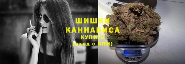 амф Елизово