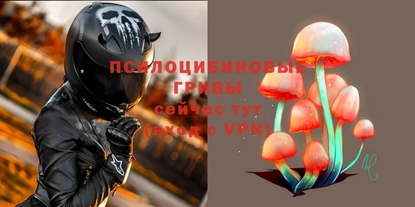 винт Елабуга