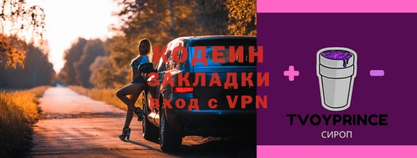 амф Елизово