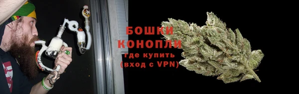 амф Елизово