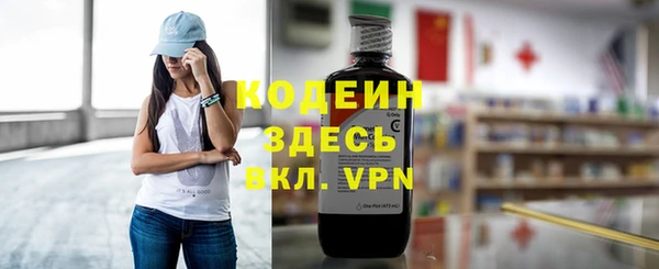 амф Елизово