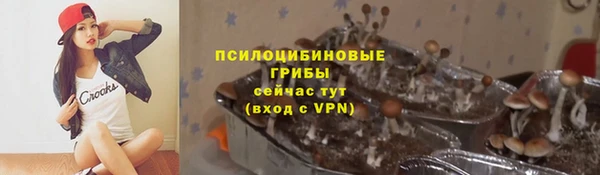 мяу мяу мука Ельня