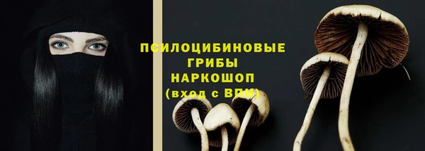мяу мяу мука Ельня
