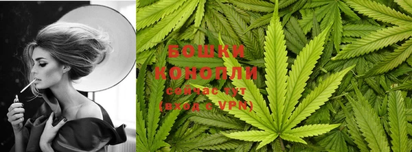 мяу мяу мука Ельня