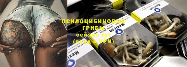 винт Елабуга