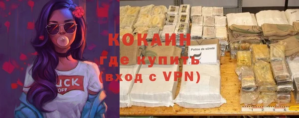 амф Елизово